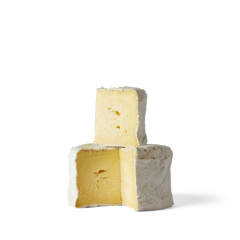 Bruton Brie