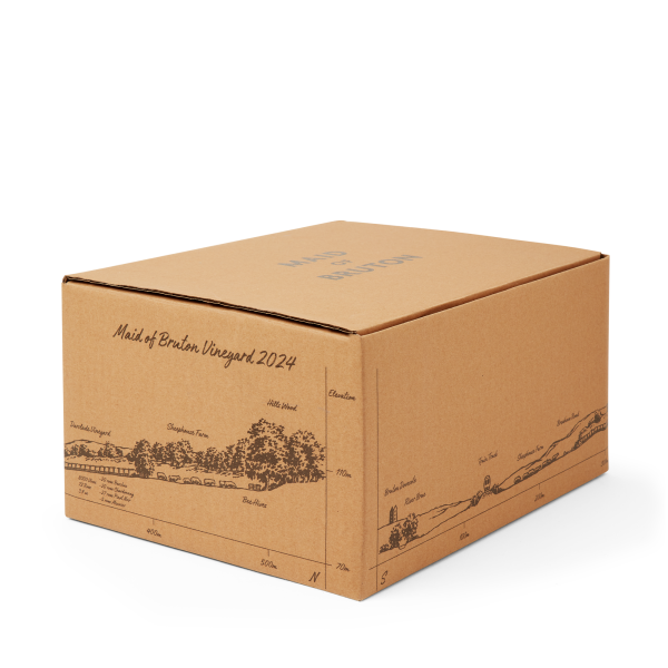 Maid of bruton wine case