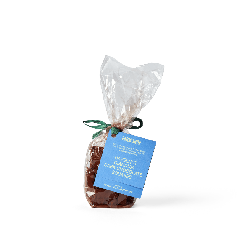 Hazelnut Gianduja Chocolate Squares